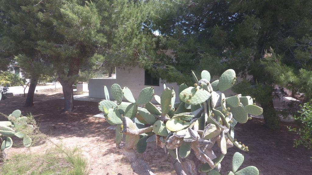 Appartamenti In Villa Senia 法维尼亚纳 外观 照片