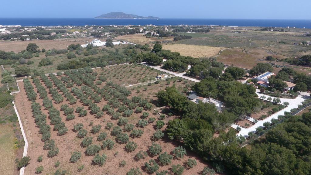 Appartamenti In Villa Senia 法维尼亚纳 外观 照片