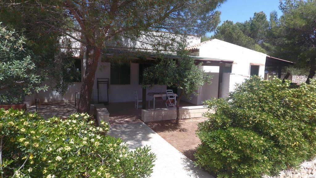 Appartamenti In Villa Senia 法维尼亚纳 外观 照片