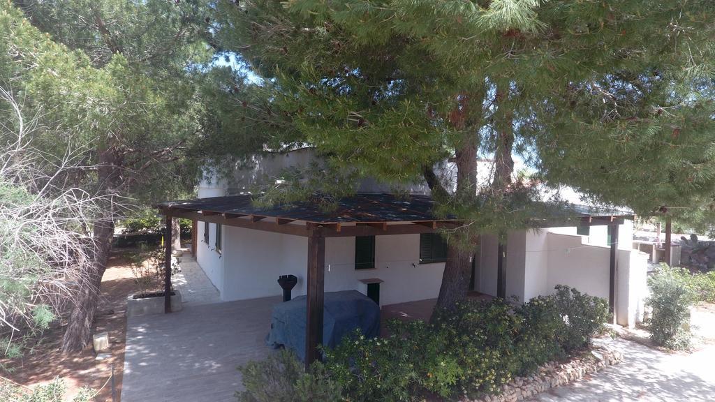 Appartamenti In Villa Senia 法维尼亚纳 外观 照片
