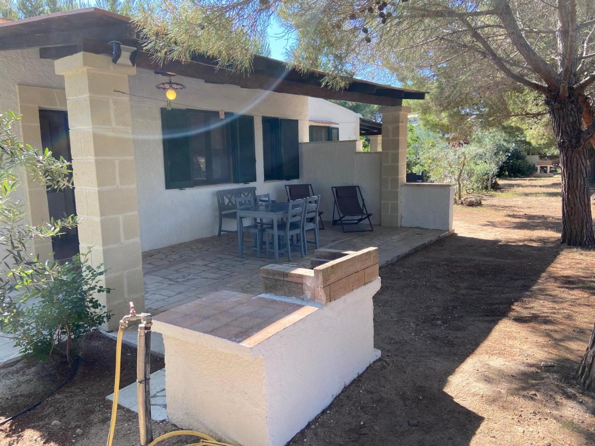 Appartamenti In Villa Senia 法维尼亚纳 外观 照片