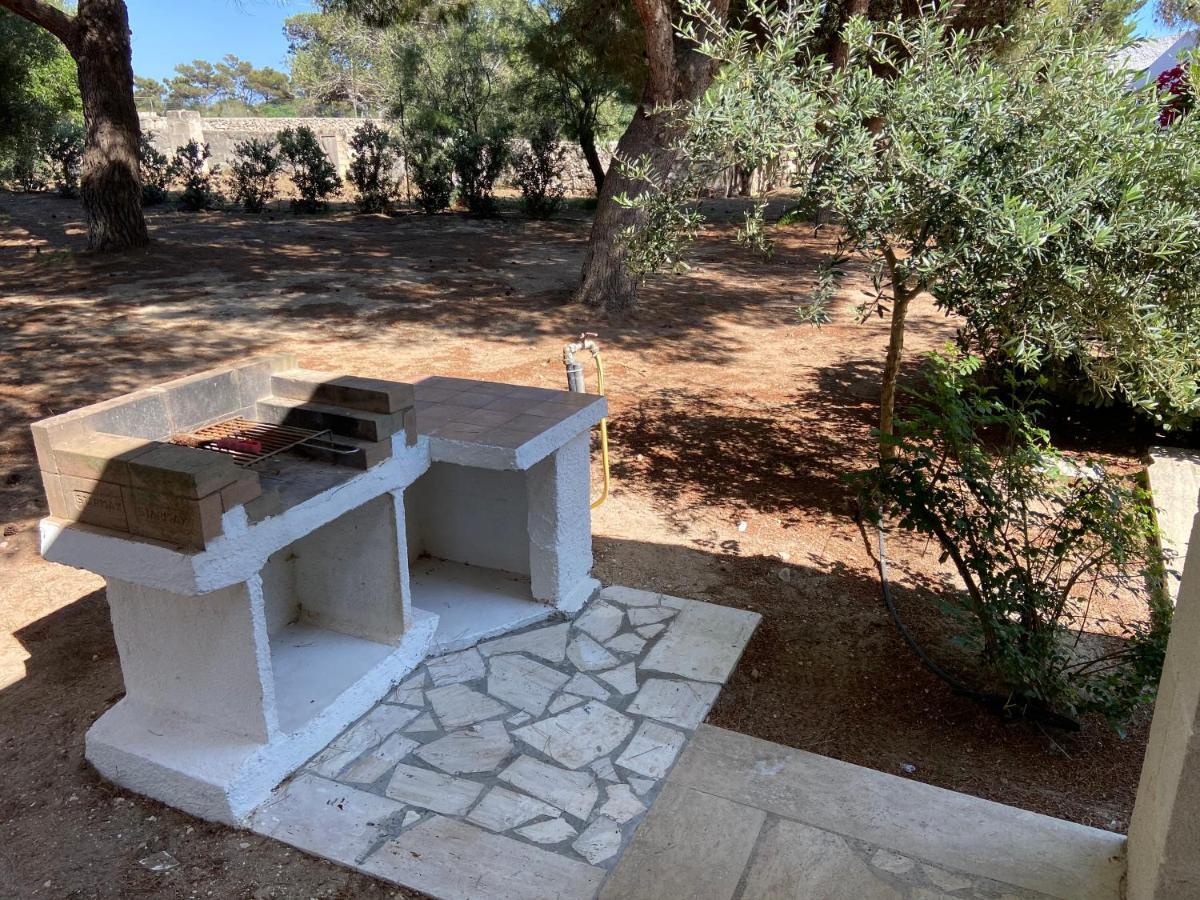 Appartamenti In Villa Senia 法维尼亚纳 外观 照片