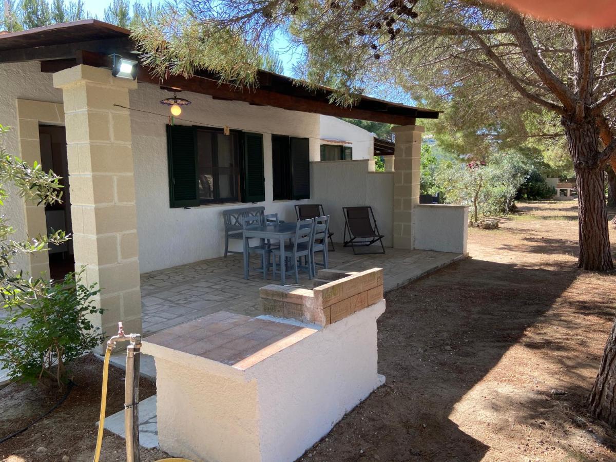 Appartamenti In Villa Senia 法维尼亚纳 外观 照片