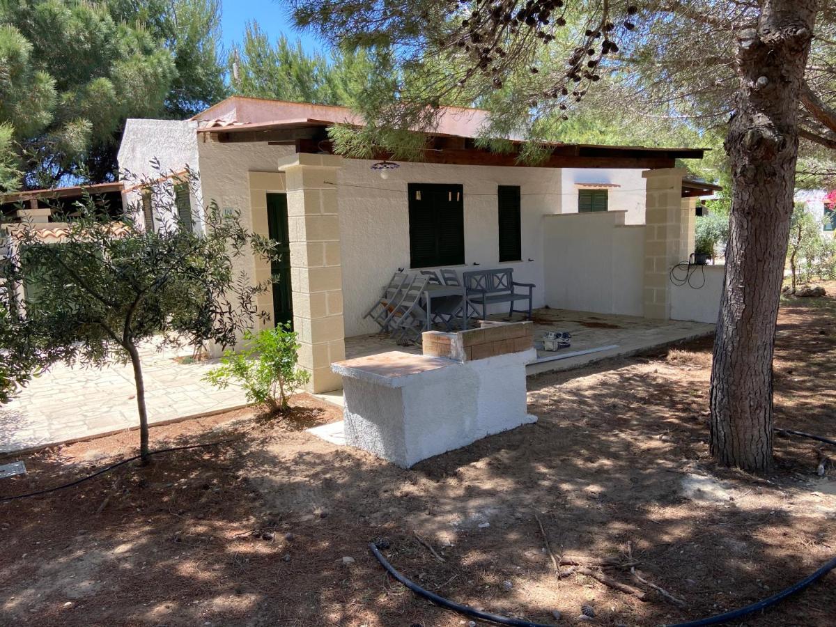 Appartamenti In Villa Senia 法维尼亚纳 外观 照片