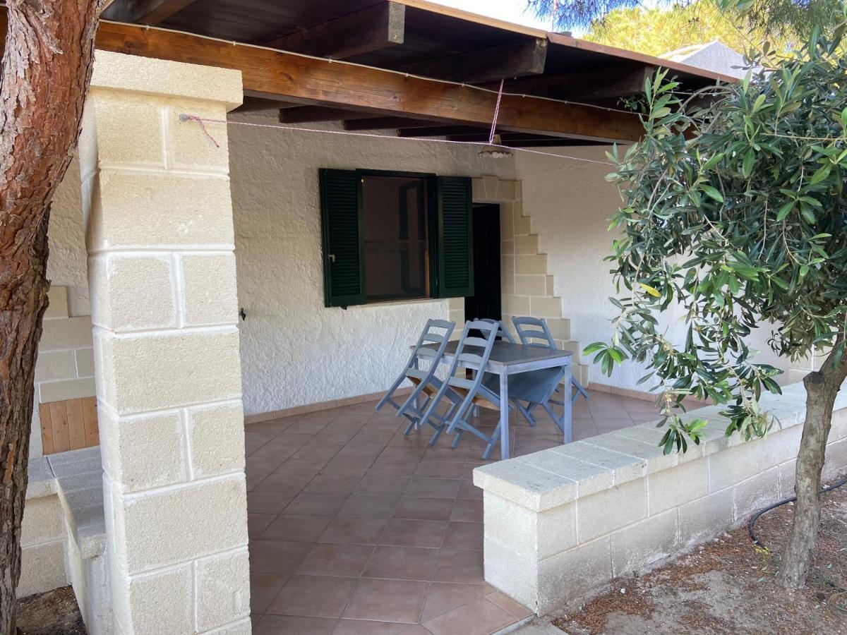Appartamenti In Villa Senia 法维尼亚纳 外观 照片