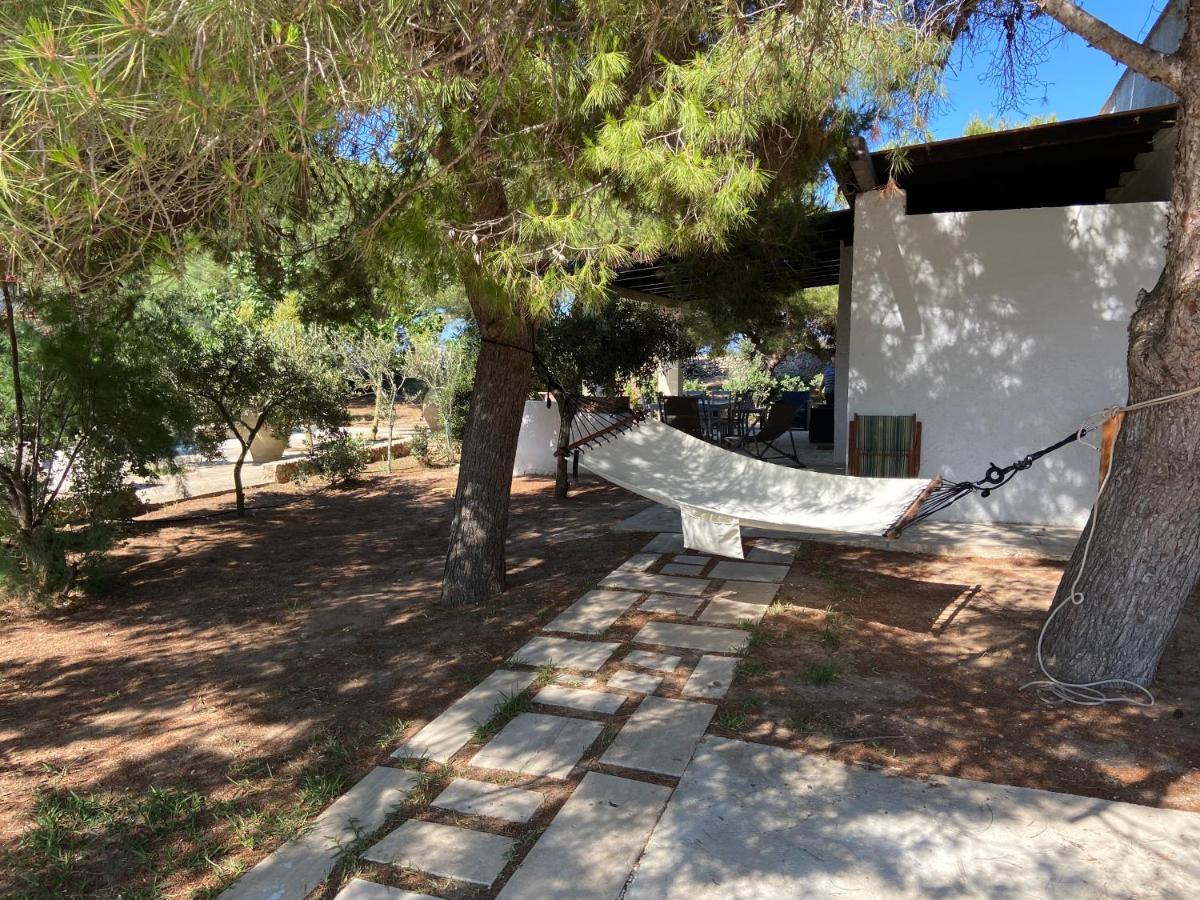 Appartamenti In Villa Senia 法维尼亚纳 外观 照片