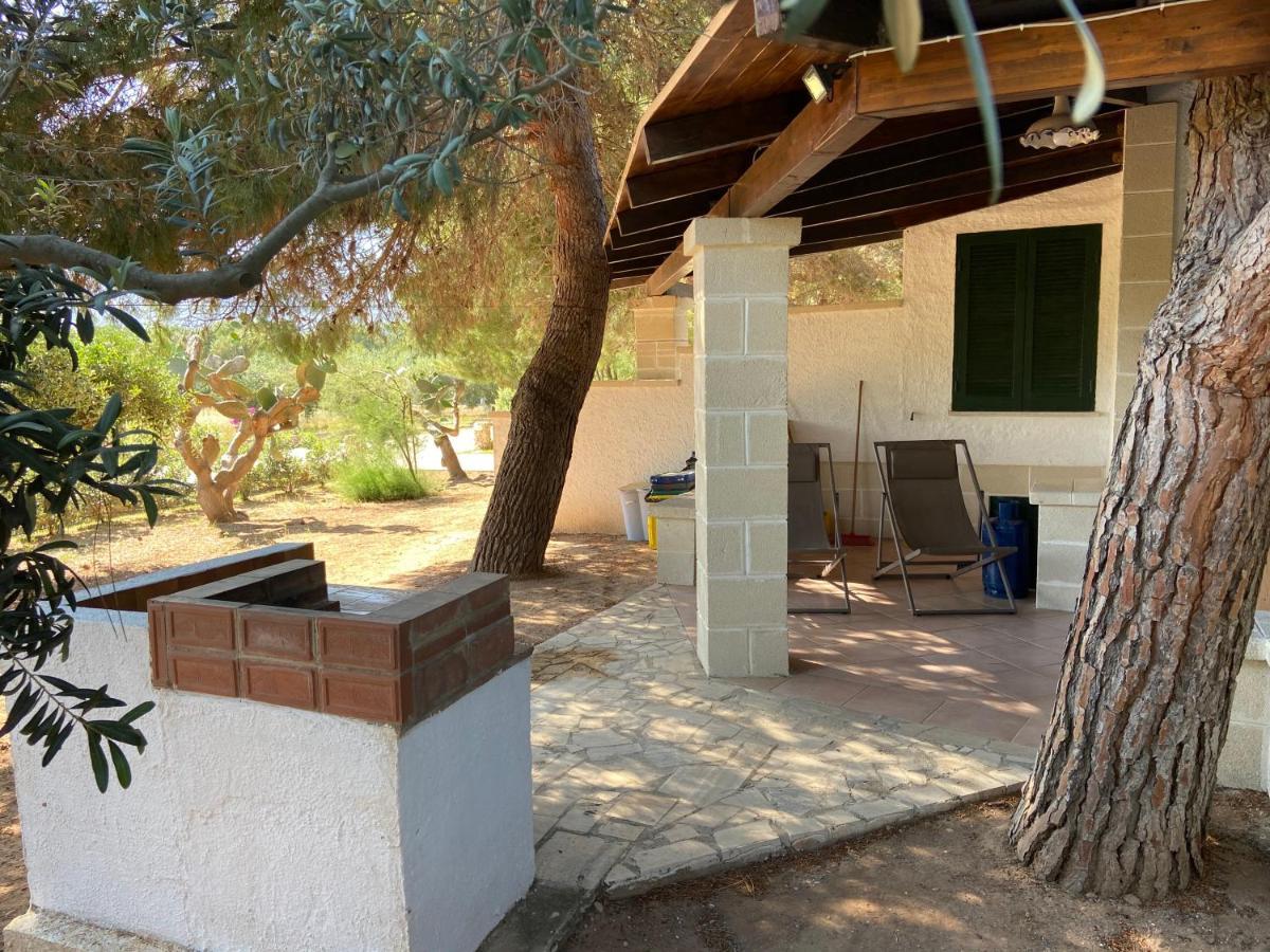 Appartamenti In Villa Senia 法维尼亚纳 外观 照片