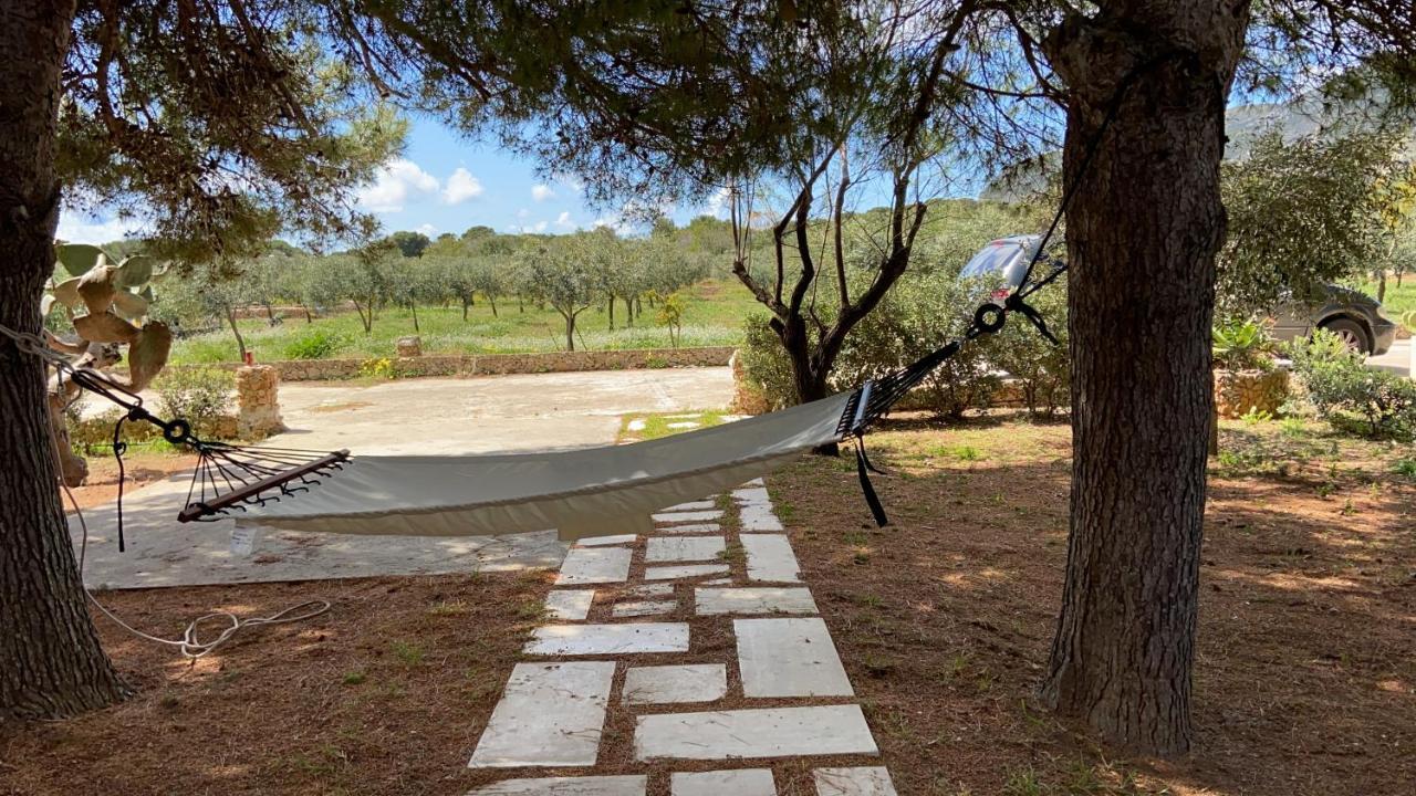 Appartamenti In Villa Senia 法维尼亚纳 外观 照片