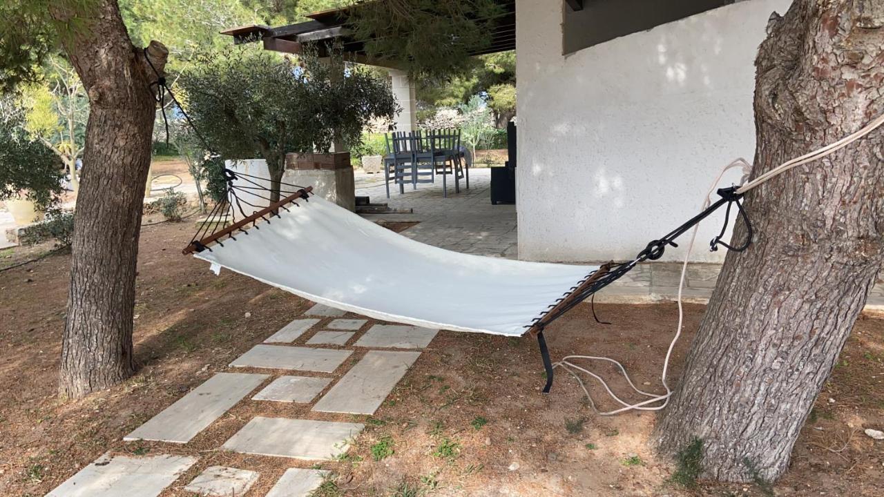 Appartamenti In Villa Senia 法维尼亚纳 外观 照片