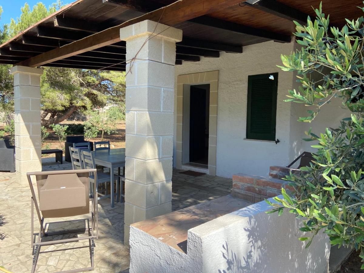 Appartamenti In Villa Senia 法维尼亚纳 外观 照片