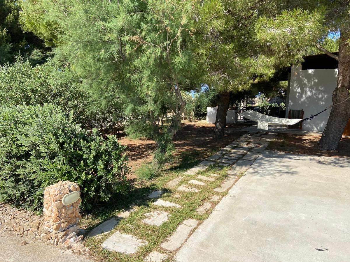 Appartamenti In Villa Senia 法维尼亚纳 外观 照片
