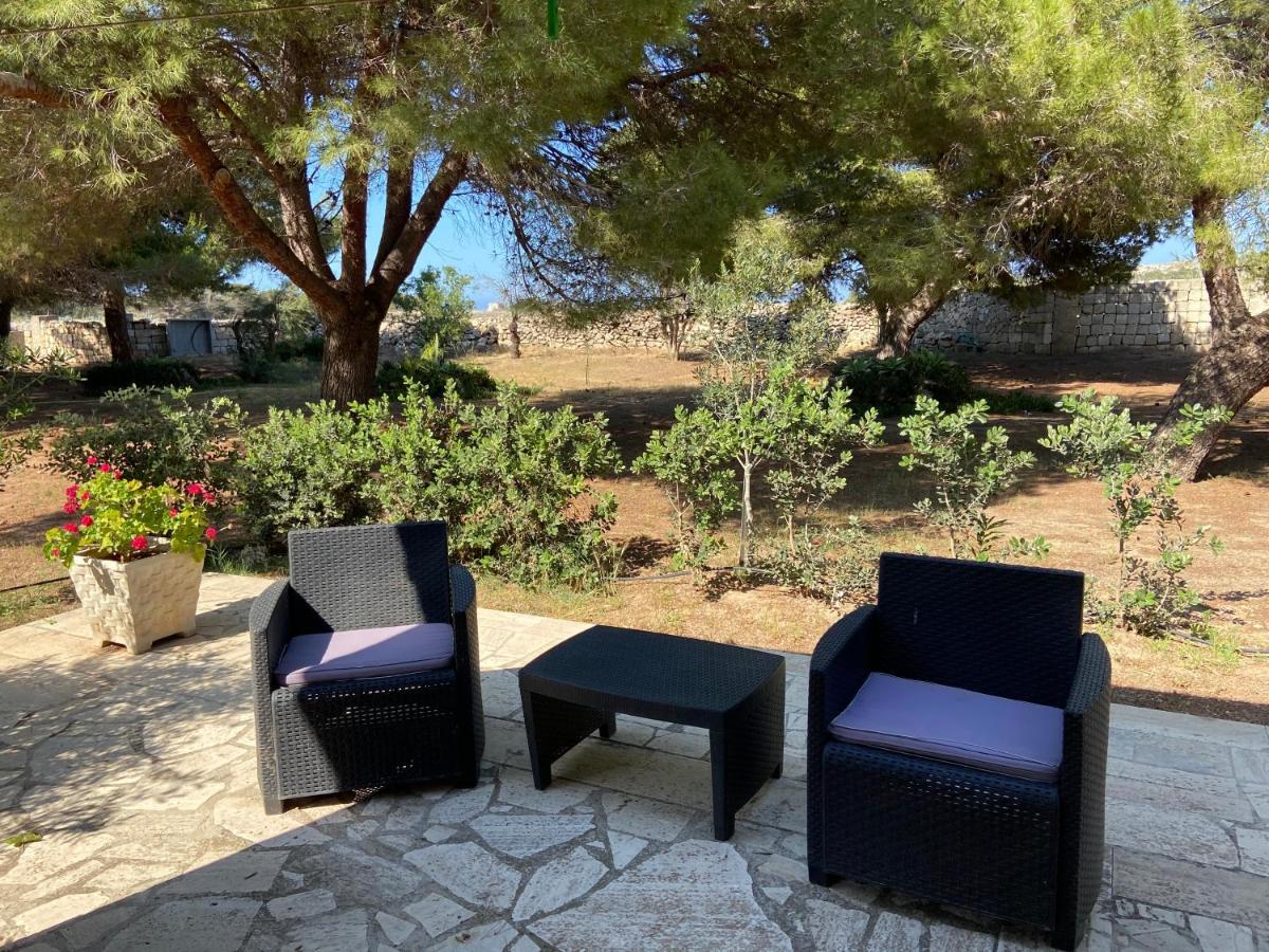 Appartamenti In Villa Senia 法维尼亚纳 外观 照片